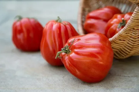 تصویر 4 از فروش گوجه فرنگی لوکس + قیمت خرید به صرفه